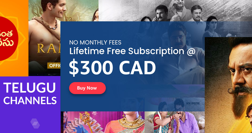 Telugu Channels with Vois IPTV